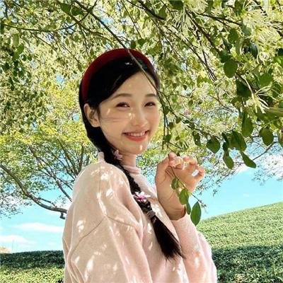 芒果最大牌2019