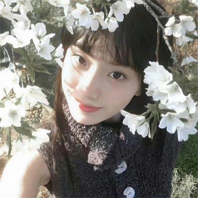沙漠玫瑰